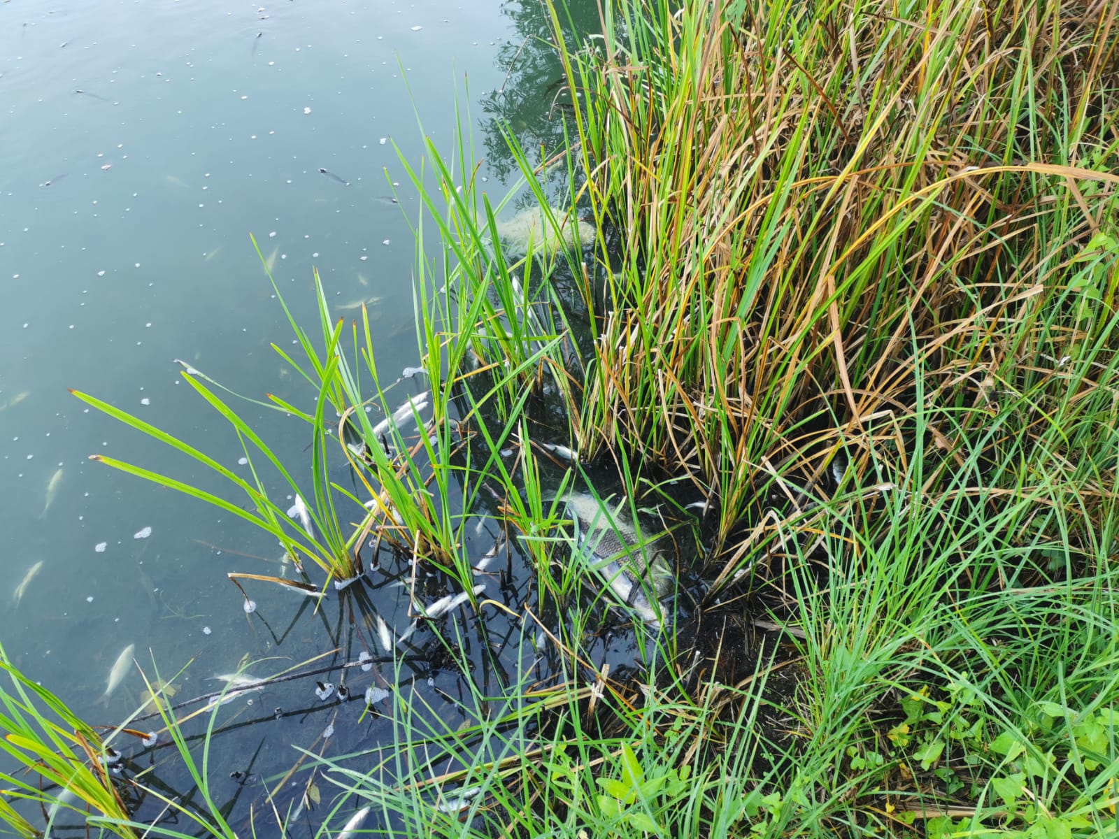 Sauerstoffmangel 2023